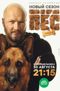 Пёс смотреть онлайн